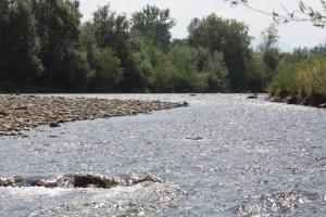Apartamenty Przy Trakcie Cesarskim
