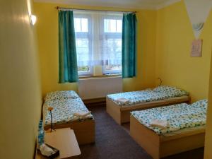 Triple Room with Private Bathroom room in Hotel Modrá hvězda Sadská