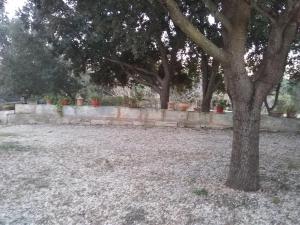 Ses Alzines Apartamento integrado en Casa Rural Habitada