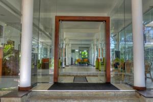 Rain Tree by Oak Ray