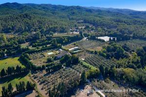 B&B / Chambres d'hotes Mas des Figues #PhilippeArtist #certifiebio #certifiedorganic #potagerbio #huiledolivebio #mediterraneandietbrunch #homemadecooking #biodiversity #roseraie #ecologicalgarden #agritourism #ecotourism #farmstay #guesthouse #saintremydeprovence #Alpilles : photos des chambres