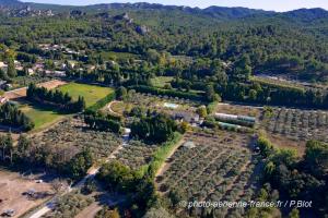 B&B / Chambres d'hotes Mas des Figues #PhilippeArtist #certifiebio #certifiedorganic #potagerbio #huiledolivebio #mediterraneandietbrunch #homemadecooking #biodiversity #roseraie #ecologicalgarden #agritourism #ecotourism #farmstay #guesthouse #saintremydeprovence #Alpilles : photos des chambres