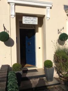 Standard Single Room with Shared Bathroom room in Hedley Villa Guest House