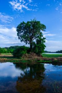 Go Yala Farm Villa