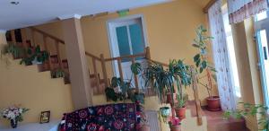 Pensiunea Casa Șteț Toader Iulian