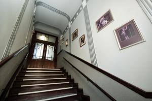 Dream Team Zamoyskiego