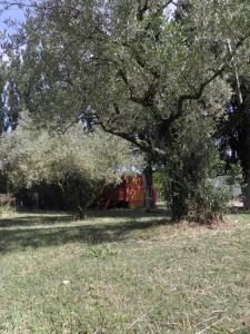 Campings Provence Roulottes : photos des chambres