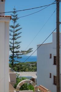 Athanasia Studios Alonissos Greece