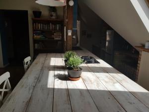 Apartament Lavender Attic