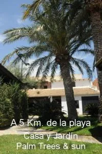 Sun & Palm Trees - Balsares