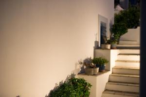 Studios Angela Port Lipsoi-Island Greece