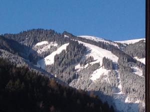 Ferienwohnung Zell am See