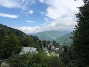 Vila Panoramica Sinaia