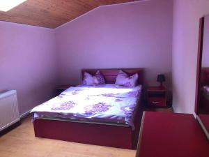 Vila Panoramica Sinaia