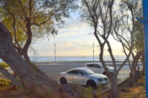 Ocean Dreams Suites - By the Harbour