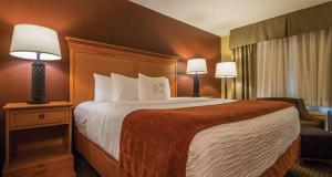 King Room with Kitchenette room in Best Western Plus Deer Park Hotel and Suites