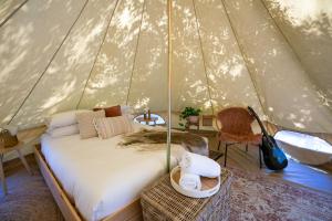 Castlemaine Gardens Luxury Glamping