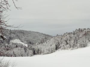 Gasthof-Hotel Dilger