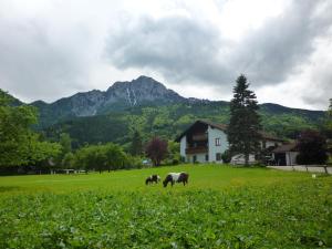 Pension Gästehaus Binder Anger Deutschland