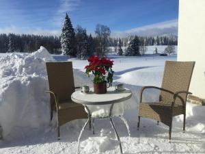 Ubytování u Vydřího mostu