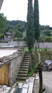 The old olive mill house Achaia Greece