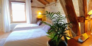 Maisons de vacances La Vayssade - Grand Gite de charme - 14 pers - Piscine & Jacuzzi : photos des chambres
