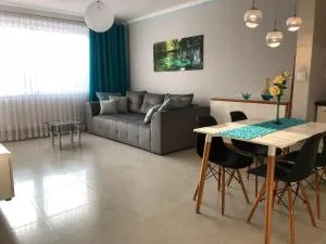 Apartamenty MAJA Nowy Targ - 新塔尔格