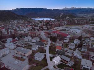 The Jungle Apartments and Rooms (Vila Džungla)