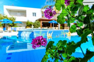 Anais Collection Hotels & Suites Chania Greece