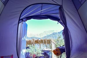 Astro Camping Elqui Experience