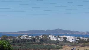 Narkissos Studios Paros Greece