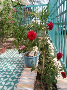 Nam Thi Holiday Home