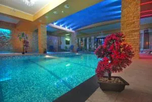 Portile Ocnei - Bacău