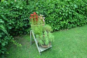 La Capanna dei Carri