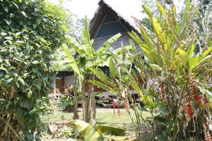 Paradise Amazon Tambopata Ecolodge