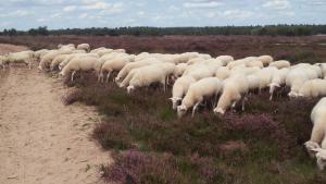 Poort van de Veluwe