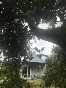 Paradise Grove - 泰晤士