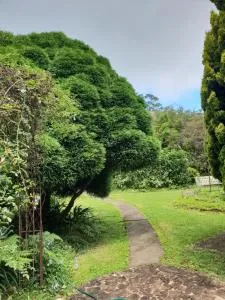 English Gardens - Forest Spa Suite - Upper Tallebudgera