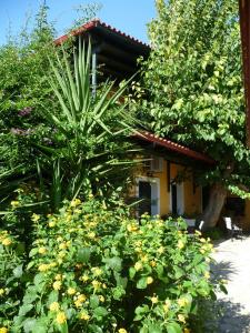 Meliti Guesthouse Achaia Greece