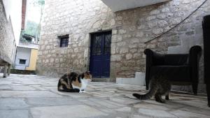 The old olive mill house Achaia Greece