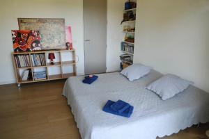 Maison darchitecte avec vue sur les Alpilles