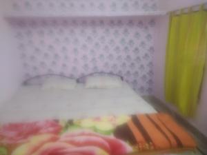 Bhavyam HomeStay &Cafe BackPackers ko