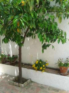 La Casita del Corralon