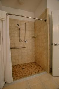 King Room with Roll-In Shower - Disability Access room in Selinsgrove Inn