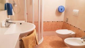 Double or Twin Room room in Alpino Lodge