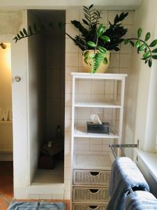 Maisons d'hotes Le Rez de Jardin : photos des chambres