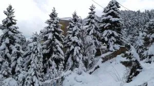 Elatos cozy Studio - Kalianoi