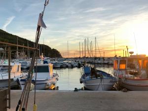 Maisons de vacances Lodge entre ciel et mer : photos des chambres