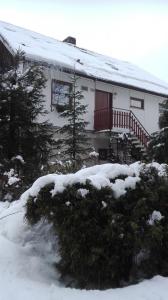 ubytování v apartmánu