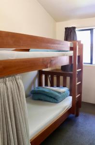 Bed in 4 Bed Mixed Dormitory Room